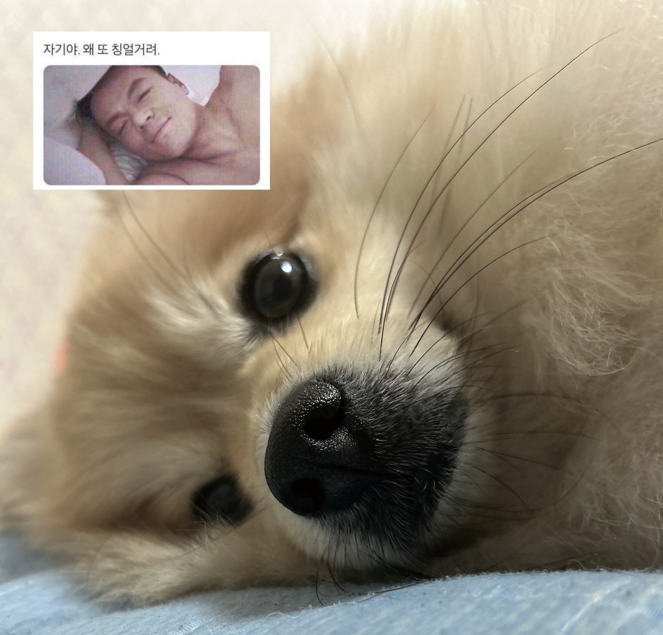 자기야 왜 또 칭얼거려